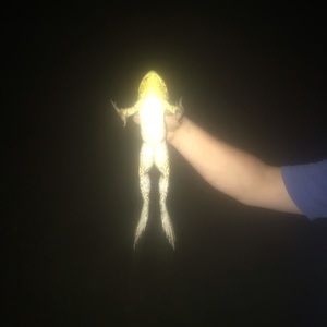 Meet your Posher, Jake